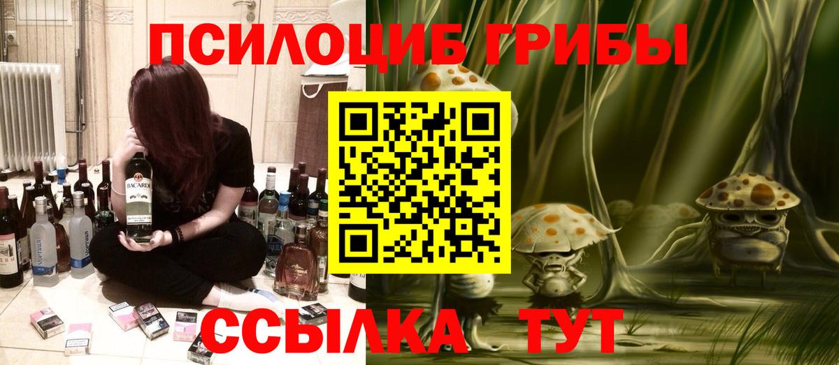 Галлюциногенные грибы Psilocybine cubensis  Вход с VPN  Тара 